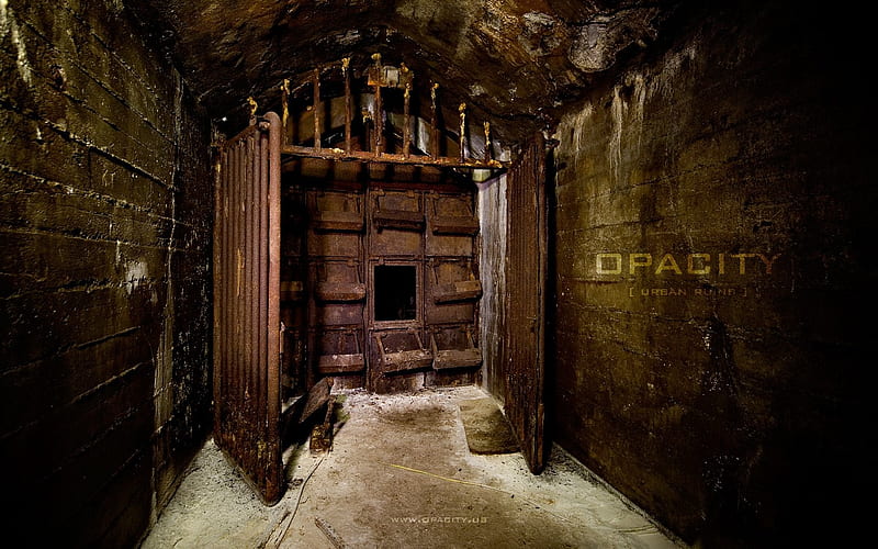 Premium Photo  Illuminated overgrown abandoned bunker with metal door