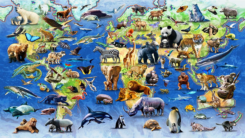 World Map Of Endangered Species, Species, Art, World, Map, Endangered, Wildlife, Painting, Rare, Animals, HD wallpaper
