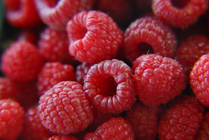 raspberries, berries, ripe, red, macro, HD wallpaper