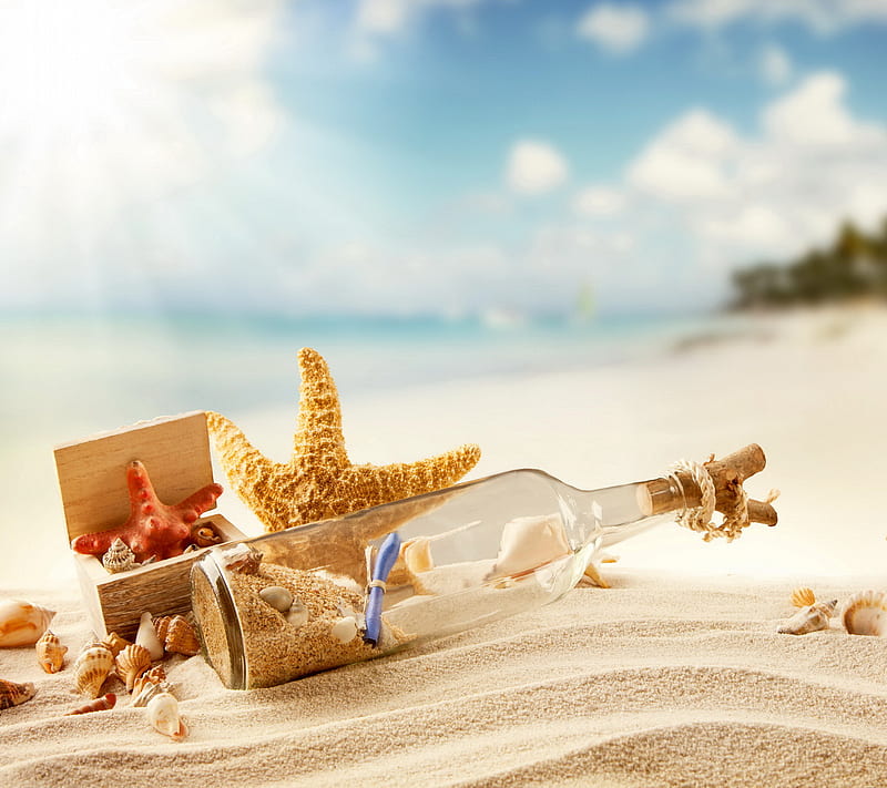 Summer Beach, beach, sand, seashells, summer, sunshine, HD wallpaper