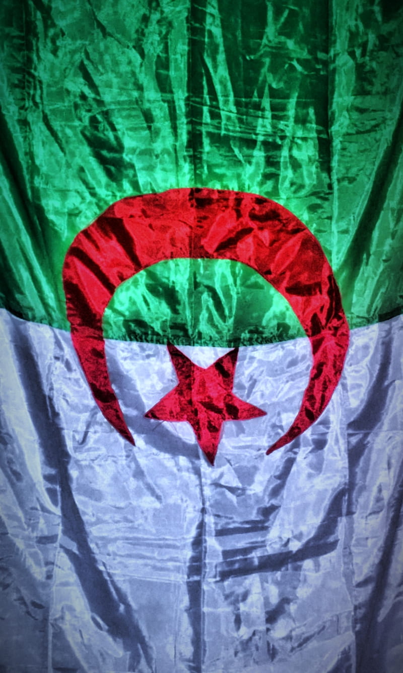 Algeria, algerie, flag, HD phone wallpaper