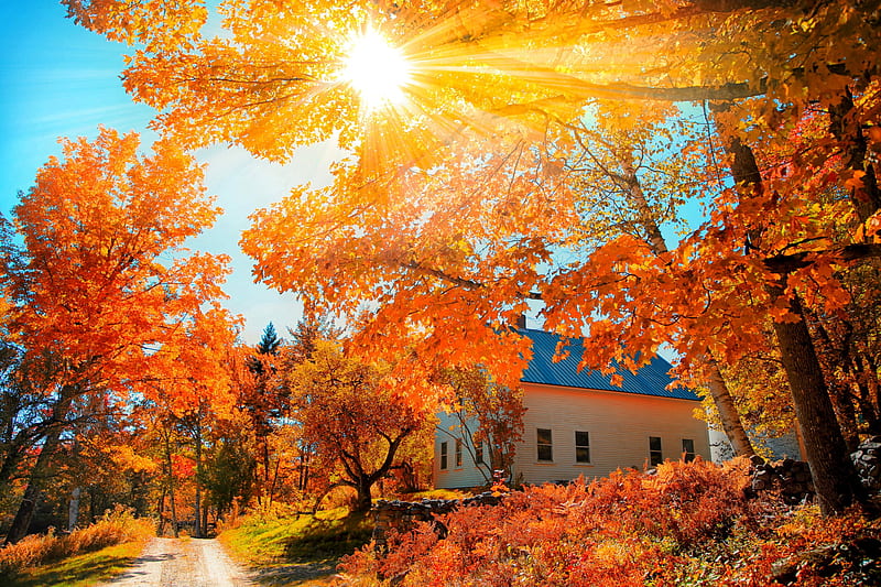 Fall foliage, fall, sun, autumn, glow, town, bonito, church, England, foliage, countryside, leaves, rays, village, branches, HD wallpaper