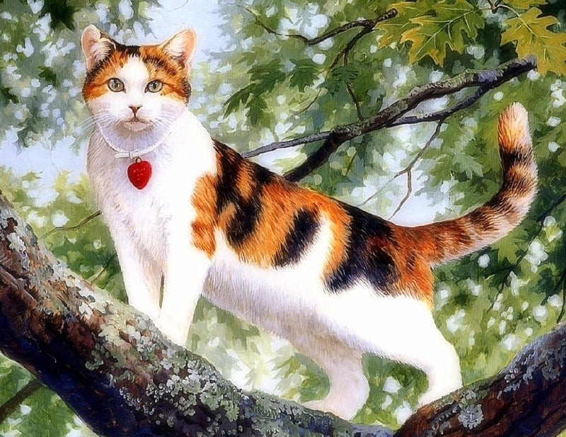 Cat in a Tree, cute, paintings, draw and paint, lovely, love four seasons,  trees, HD wallpaper | Peakpx