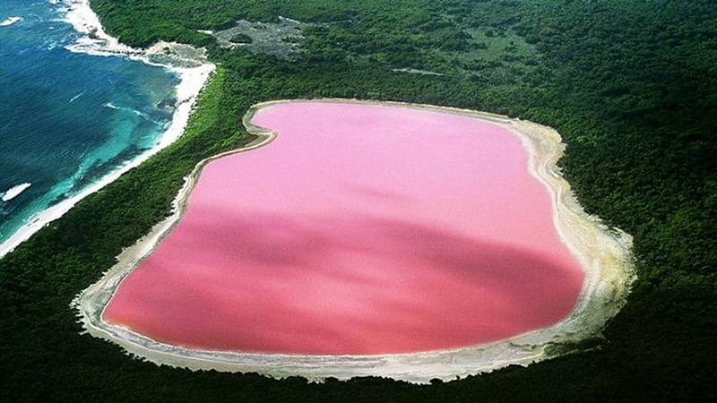 Lake Retba, Senegal, amazing, nature, pink, lake, HD wallpaper