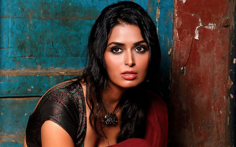 Meenakshi Dixit, Bollywood, indian actress, saree, brunette, beauty, HD wallpaper