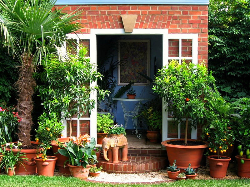 Back door to the garden, gardens, pots, shrubs, greenery, HD wallpaper
