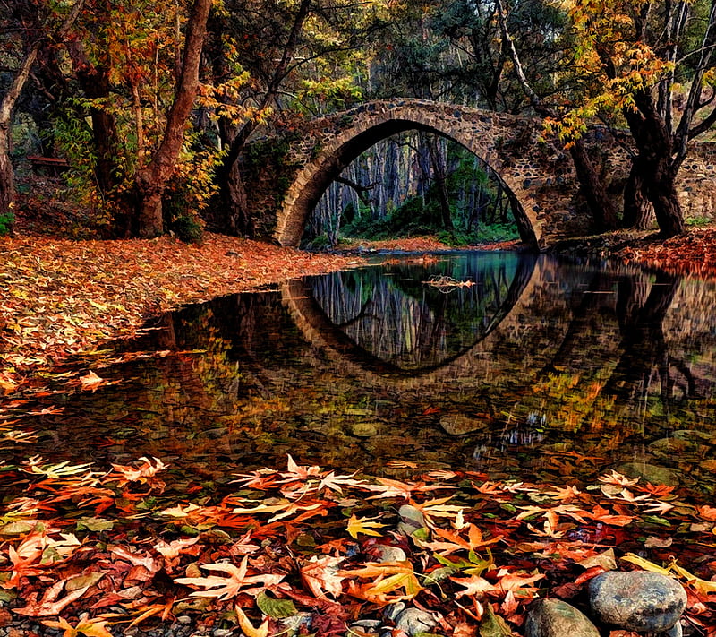 Old Forest Bridge, autumn, bridge, forest, leaves, old, stone, trees, water, HD wallpaper