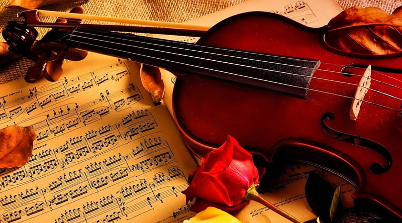 bonito, red, violin, rose, music, sheet, HD wallpaper