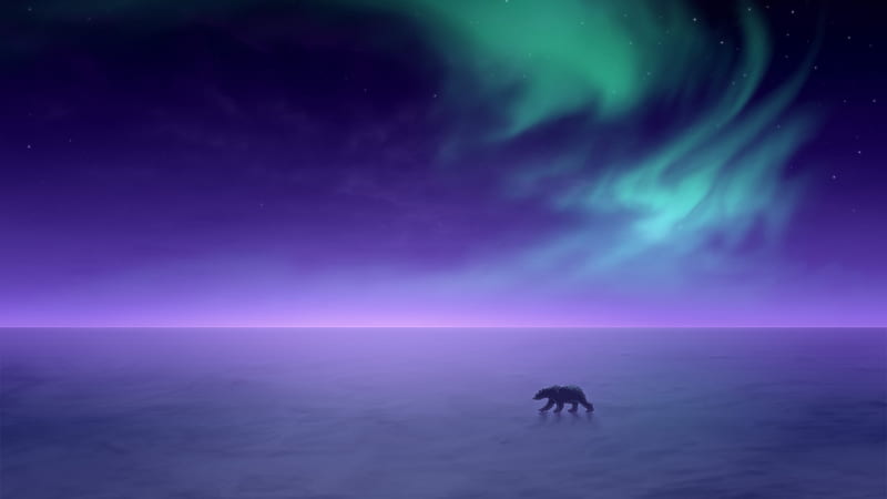 Polar Bear under the Northern Lights, Auroras, Polar Bears, Sky, Clouds, Northern Lights, Snow, Nature, HD wallpaper