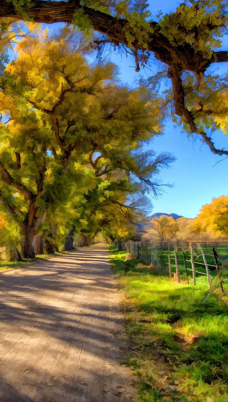 Fall Country Road, bright, landscape, nature, season, summer, HD phone wallpaper