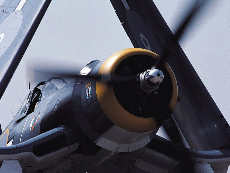 Corsair Wing Fold, Aircraft, Warbird, F4U, Corsair, HD wallpaper