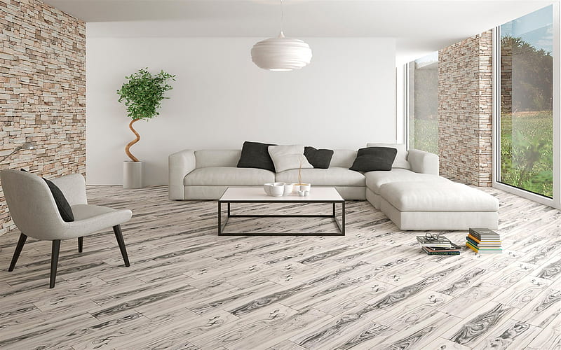 stylish interior, living room, minimalist style, modern style, real tree in the living room, modern interior design, HD wallpaper
