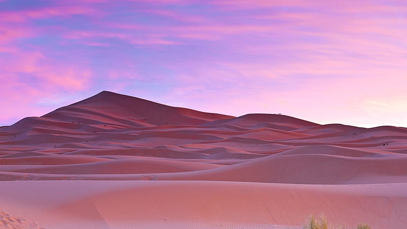 Sahara Desert, Sahara, Desert, pink, relax, HD wallpaper