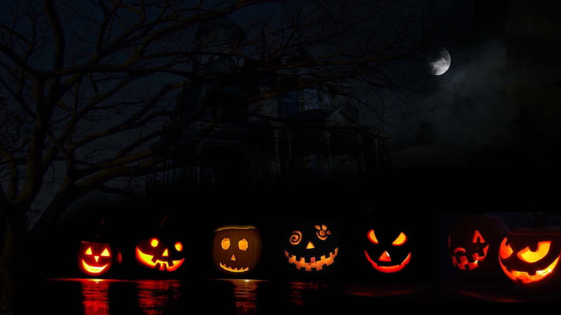 Pumpkins Face Lights Dark Background Cute Halloween, HD wallpaper