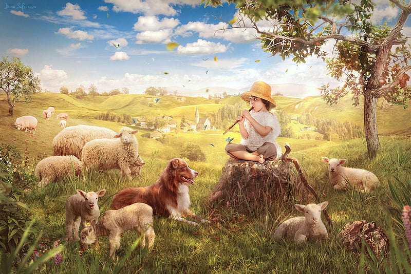 The little shepherd, art, frumusete, luminos, caine, ileeni, irina safronova, sheep, boy, fantasy, little shepherd, dog, HD wallpaper