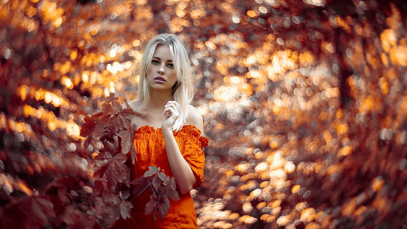 Autumn Girl Outdoor , girls, model, autumn, HD wallpaper