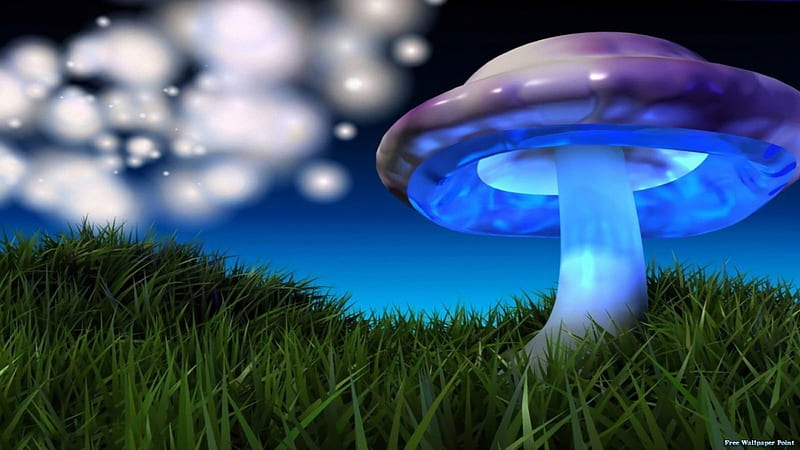 blue mushroom, mushroom, fantasy, abstract, blue, HD wallpaper