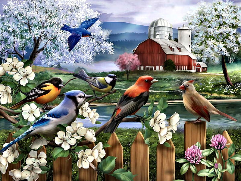 Spring Gathering - Birds, bonito, illustration, artwork, bluebird, animal, farm, chickadee, painting, wide screen, art, oriole, songbirds, bird, avian, wildlife, blue jay, nature, cardinal, HD wallpaper