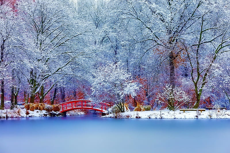 snow, winter, nature, road, bridge, trees, HD wallpaper