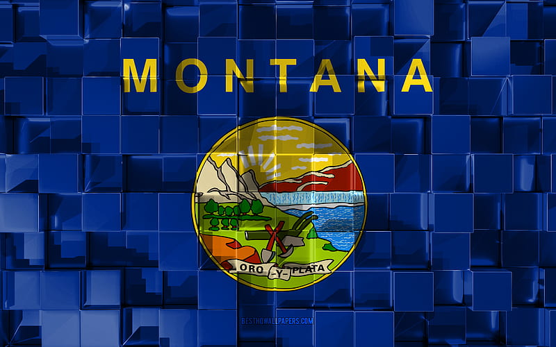 Flag of Montana, 3d flag, US state, 3d cubes texture, Flags of American states, 3d art, Montana, USA, 3d texture, Montana flag, HD wallpaper