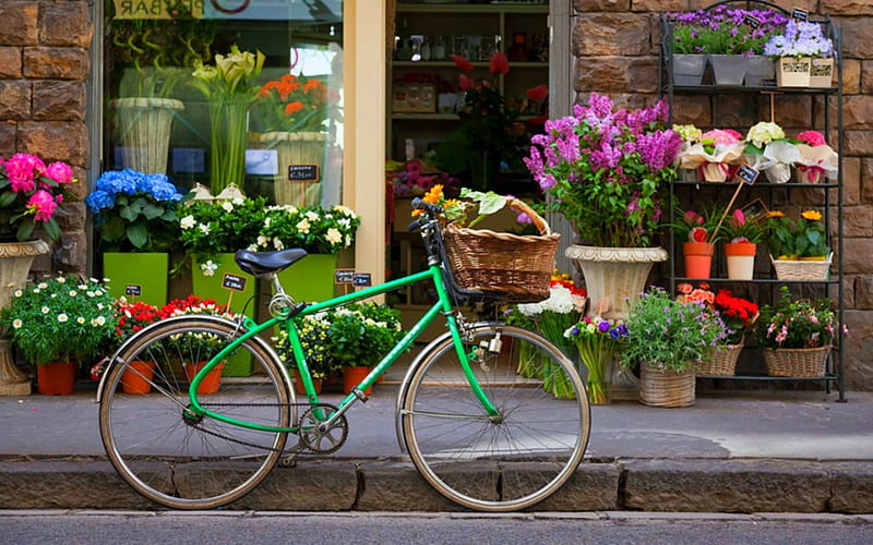 Flower Shop, shop, basket, flower, bicycle, pot, HD wallpaper