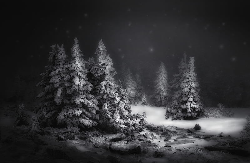 Black & White Snow Winter Night, HD wallpaper