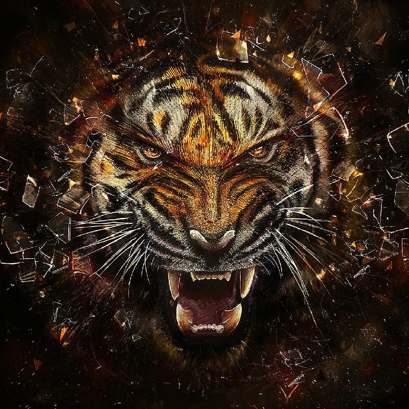 Abstract Tiger, abstract, animal, cat, tiger, HD phone wallpaper