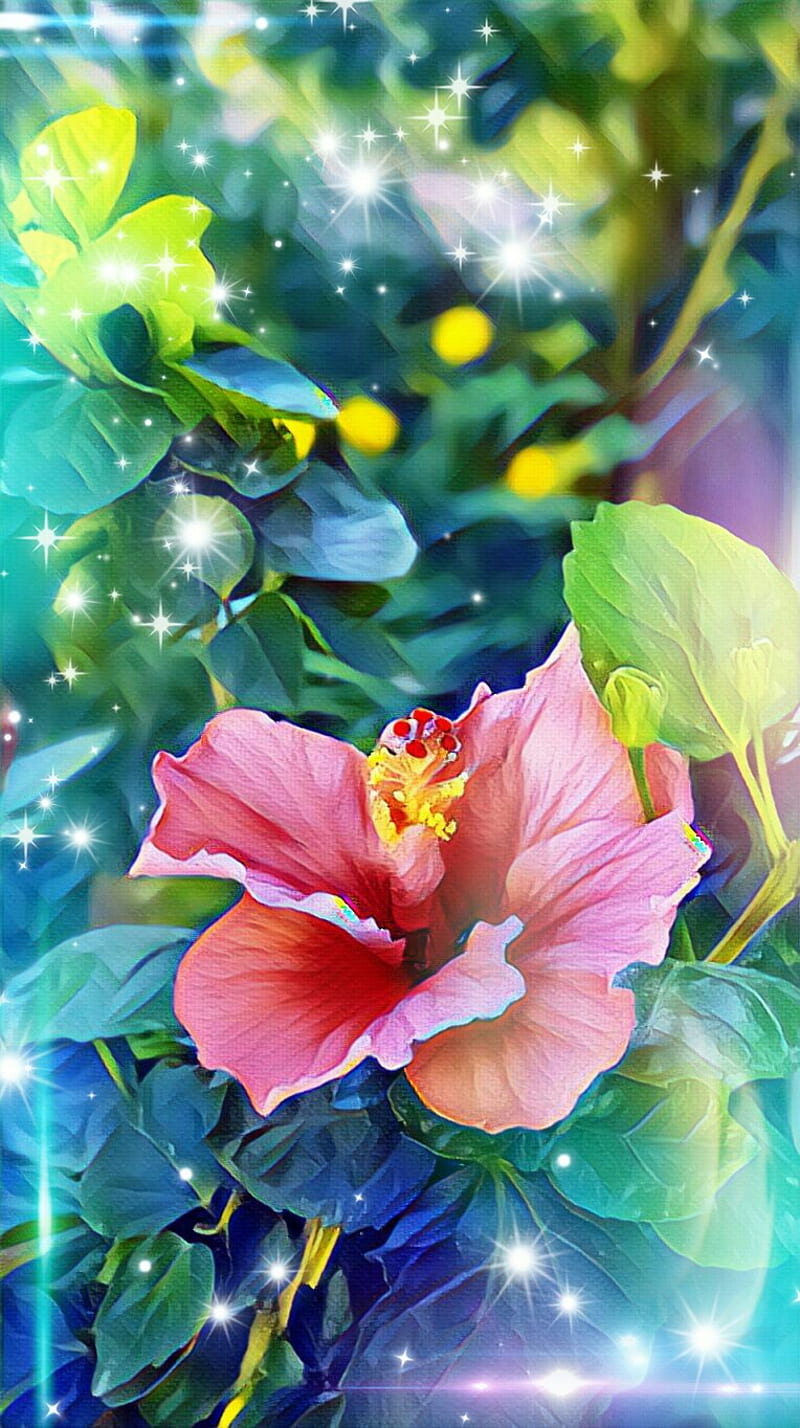 Hibiscus Hibii, bokeh, cartoon, flower, nature, portrait, rose, HD phone wallpaper