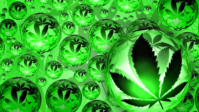 Weed Leaves Inside Ball Weed, HD wallpaper