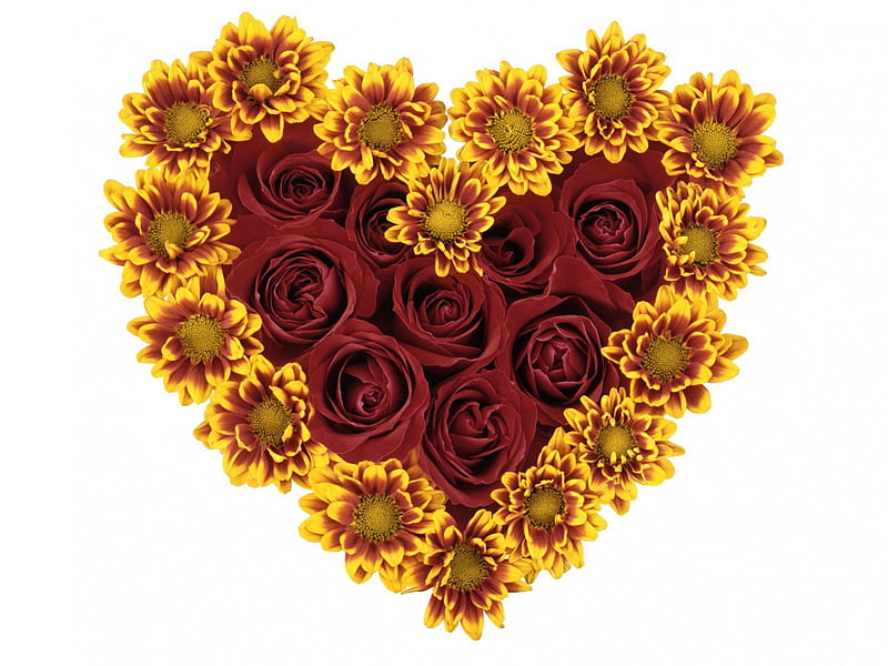 Heart flowers., red, maroon, gold, love, HD wallpaper