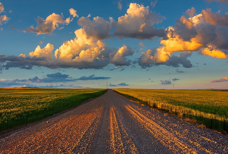 Country road nature road country HD wallpaper  Peakpx