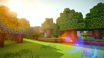 Minecraft wallpaper  Minecraft wallpaper, Wallpaper, Park slide