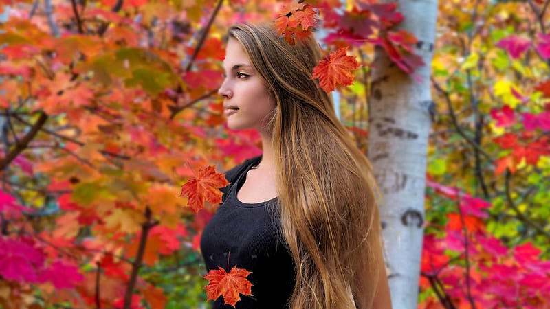 Colors of autumn model