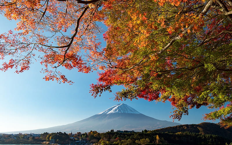 Fuji, mountain, japan, autumn landscape, mountains, Fujiyama, stratovolcano, Honshu, HD wallpaper