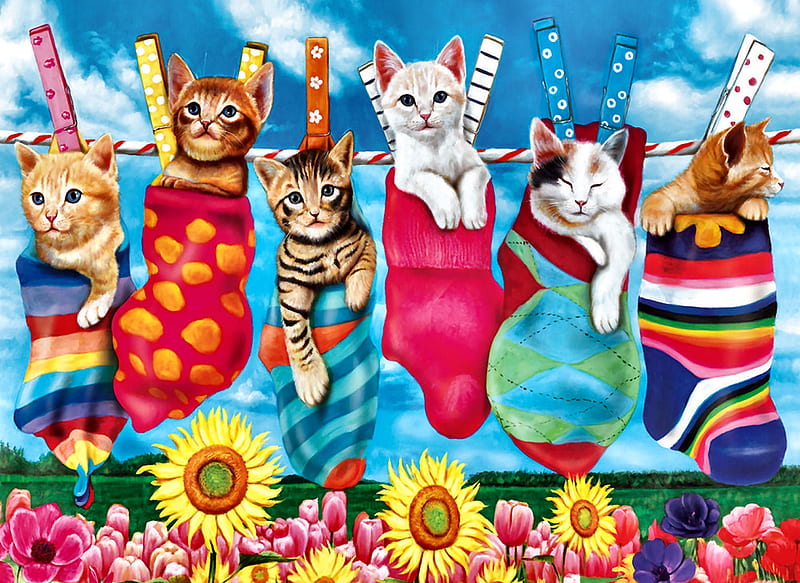 Hanging Out F, art, socks, bonito, clothesline, pets, artwork, animal, feline, painting, wide screen, sun flowers, cats, HD wallpaper