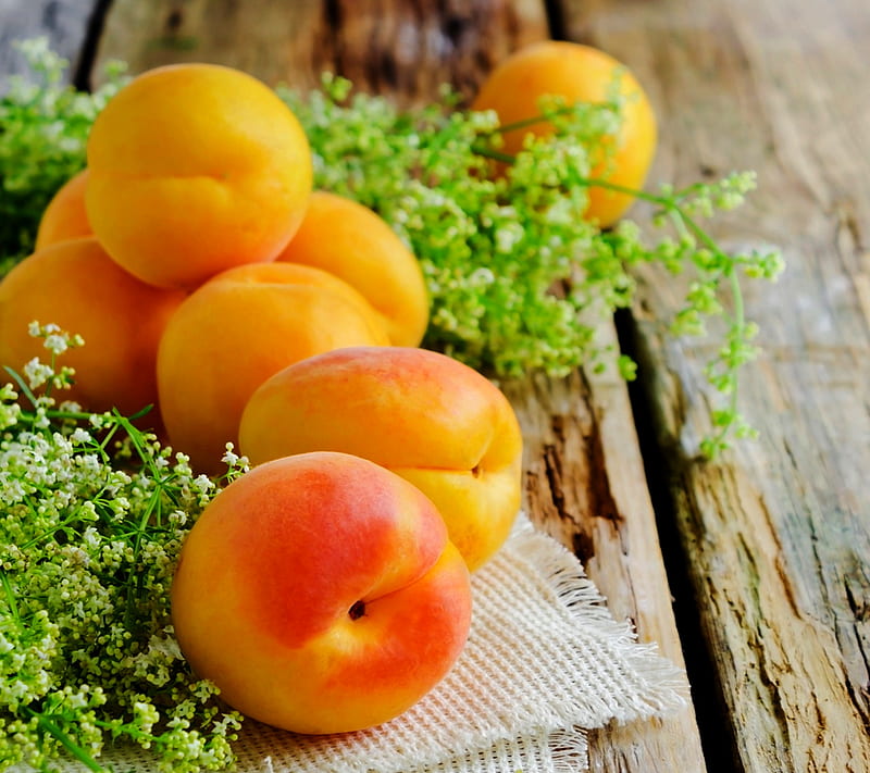 Apricot, fruits, summer, HD wallpaper