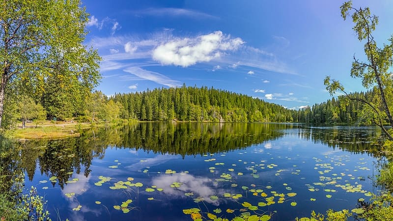 Skjennungen Lake, Oslo County, Norway, trees, water, sky, reflections, clouds, landscape, HD wallpaper