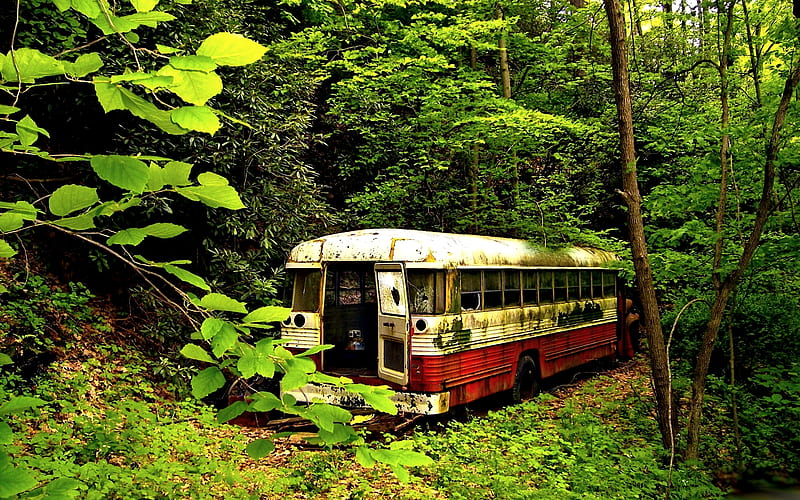 BUS STOP, wrecked, forest, green, busstop, old, abandoned, bus, HD wallpaper