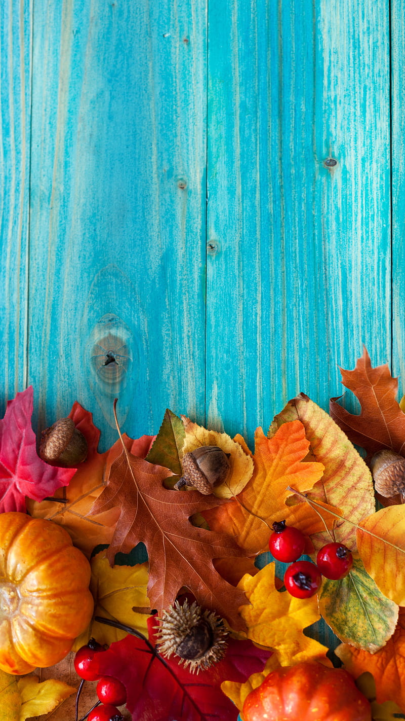 Leaves, autumn, blue, fall, maple, pumpkin, wood, HD phone wallpaper ...