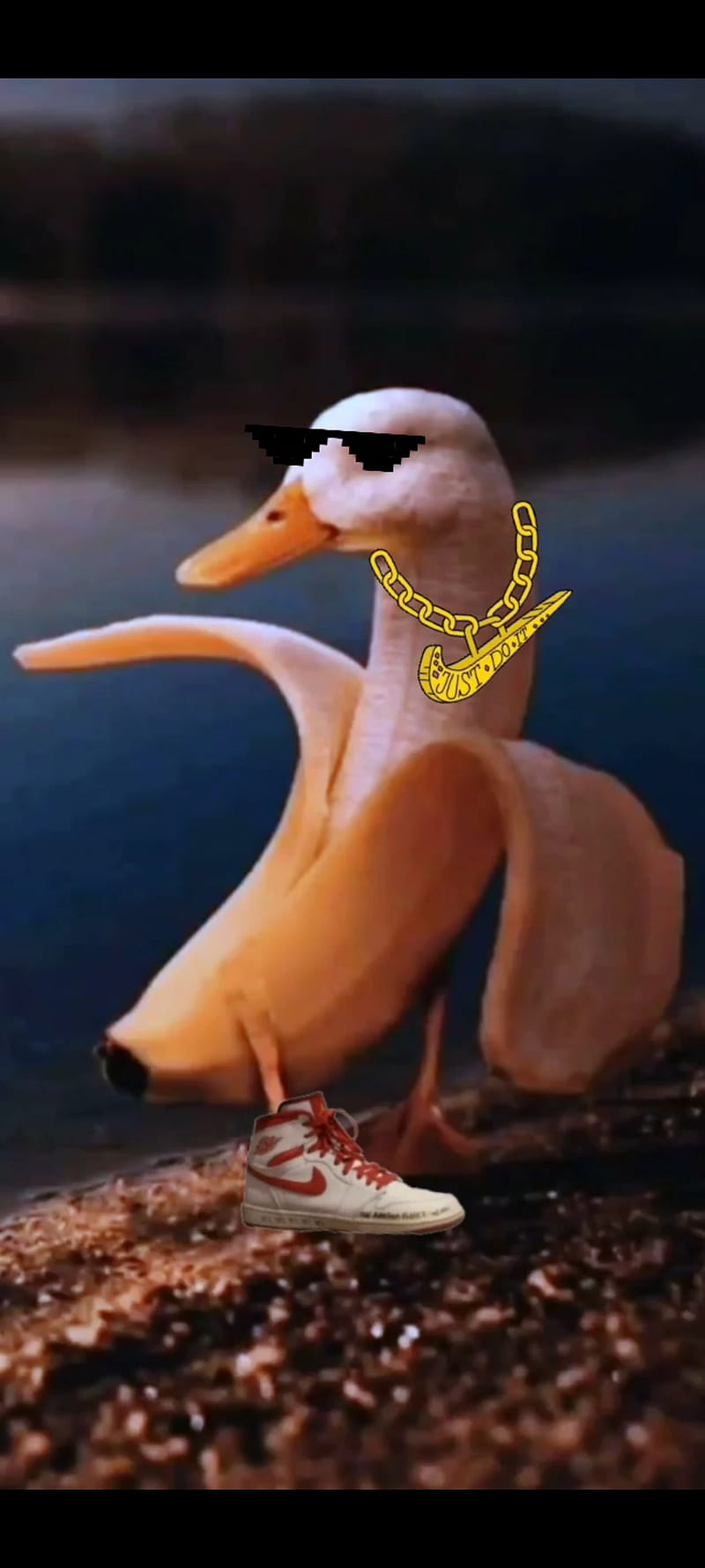 Banna duck meme, funny, meme duck banana, HD phone wallpaper