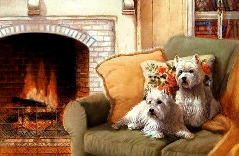 Cozy, fireplace, pillow, furniture throw, westies, bookcase, sofa, dogs, HD wallpaper