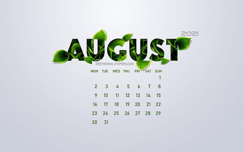 August 2021 Calendar, eco concept, green leaves, August, white background,  2021 summer calendar, HD wallpaper | Peakpx