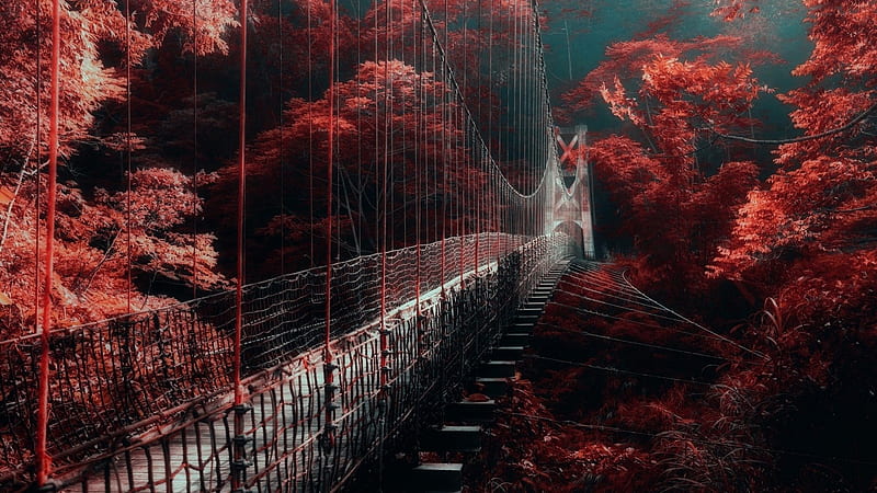 Bridge Between Red Autumn Trees Dark Aesthetic, HD wallpaper