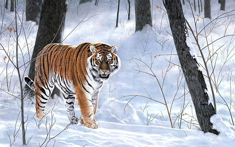 Emperor of Siberia, charles frace, painting, tiger, tigru, iarna, siberia, winter, art, snow, white, HD wallpaper