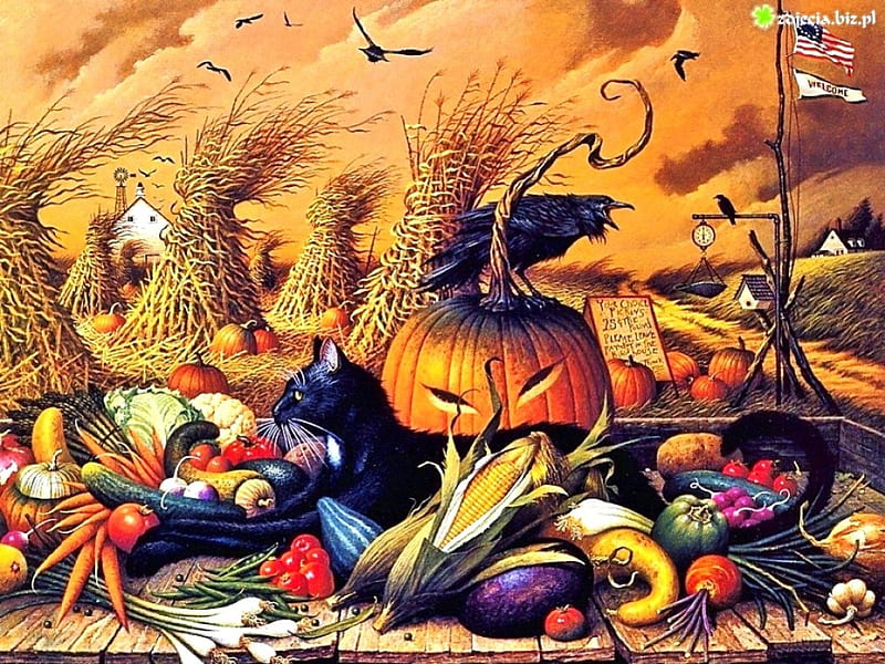 Halloween Is Coming, fall, orange, halloween, haystack, cat, october, pumpkins, gords, HD wallpaper