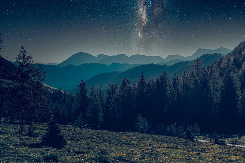 mountains, forest, starry sky, landscape, night, HD wallpaper