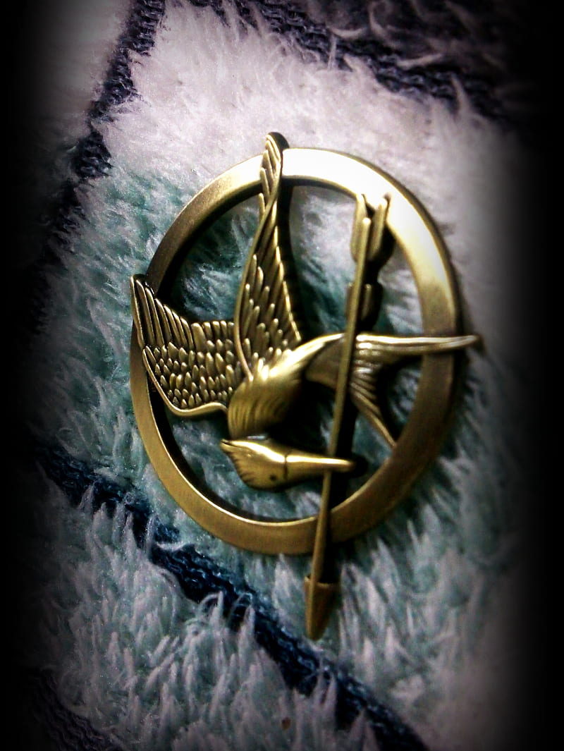 Hunger games deals mockingjay pin