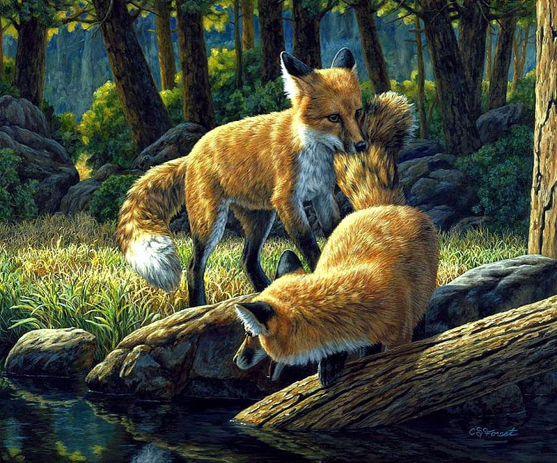Sibling Rivalry, forest, painting, foxes, wildlife, nature, artwork, HD wallpaper
