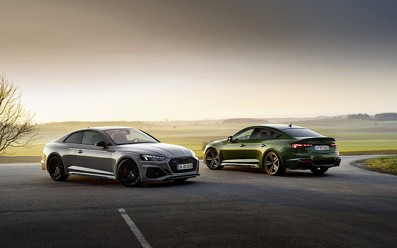 Audi RS5 Coupe, 2020, TFSI, Audi RS5 Sportback, V6 Biturbo, exterior, comparison and, new gray RS5 Coupe, new green RS5 Sportback, German cars, Audi, HD wallpaper