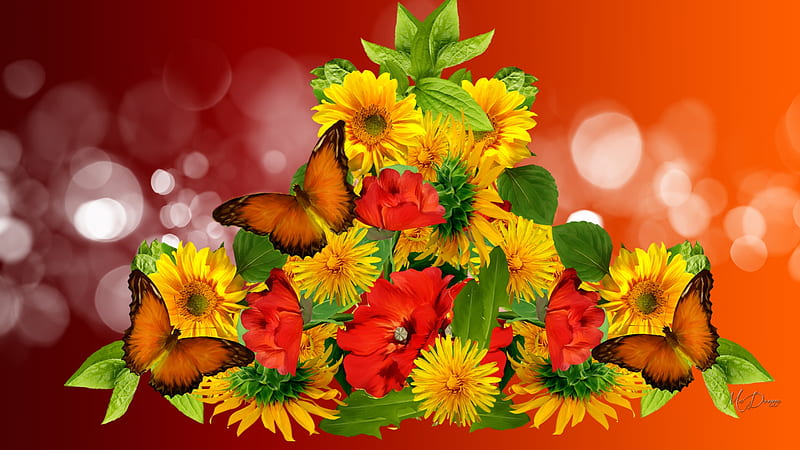 Butterflies Flowers, astors, autumn, gold, bokeh, orange, flowers, butterflies, fall, poppies, chrysanthemums, HD wallpaper